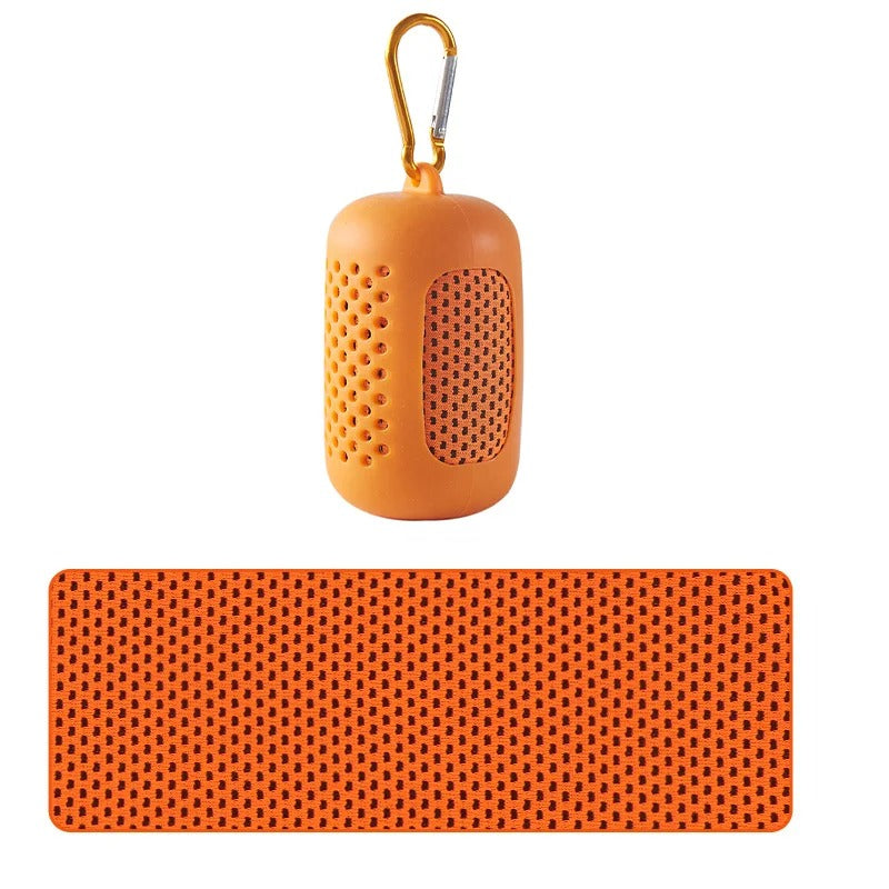 Cooling Towel with Portable Case and Carabiner – Quick-Dry, Super Absorbent