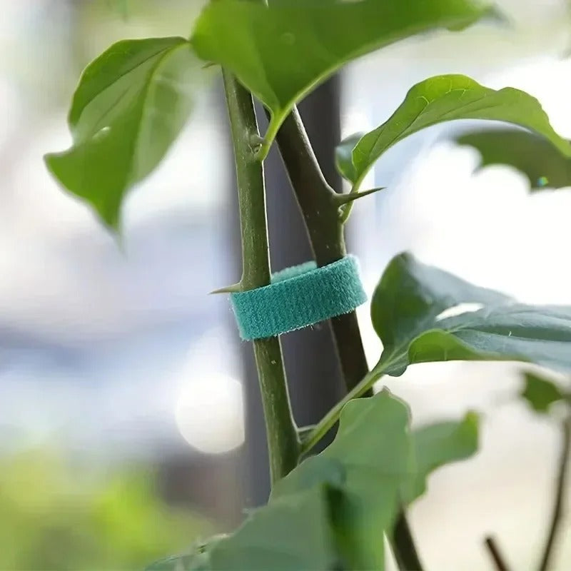 Self-Adhesive Garden Plant Ties - 3 Rolls