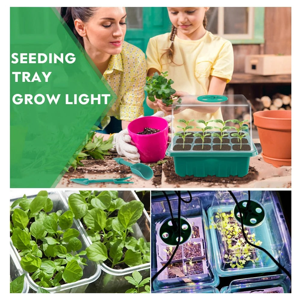 5-Pack Seed Starter Trays with LED Grow Lights