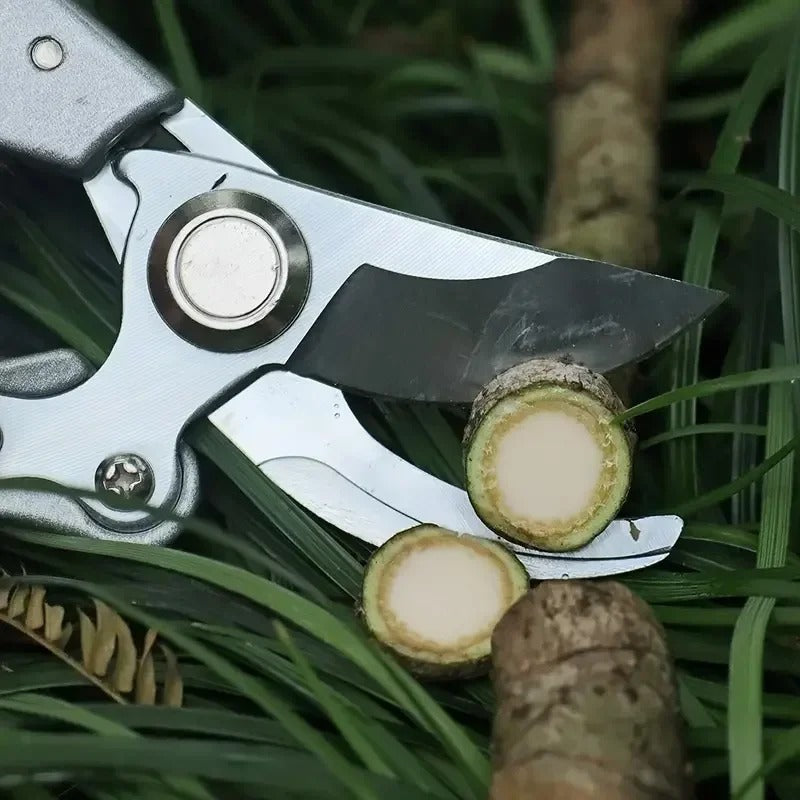 Professional Garden Pruning Shears