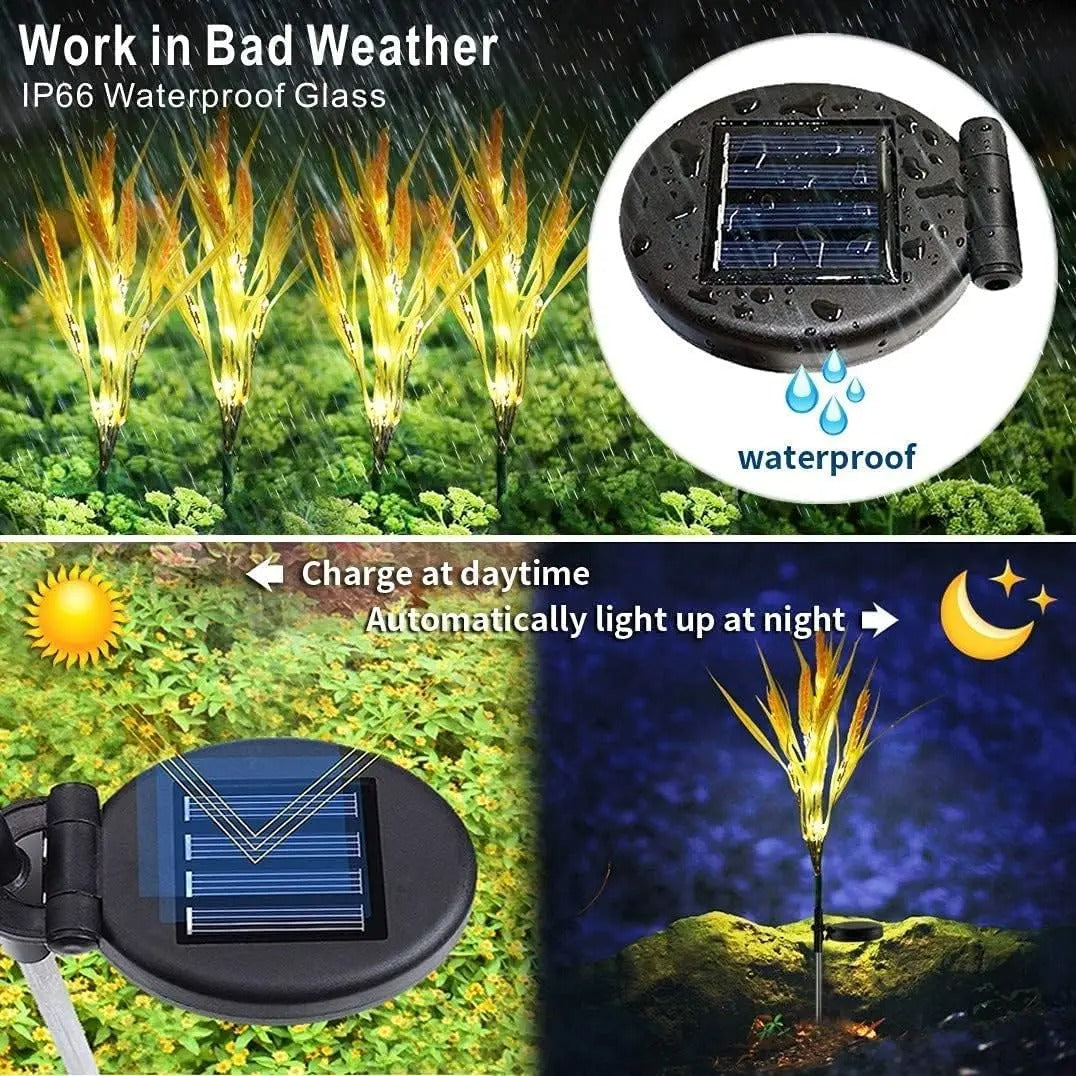 Solar-Powered Wheat LED Garden Lights