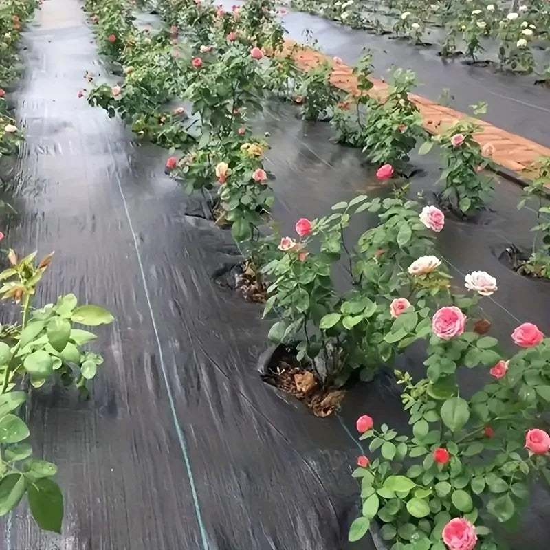 Garden Weed Control Fabric