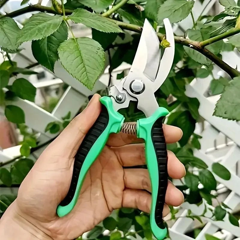 Professional Garden Pruning Shears