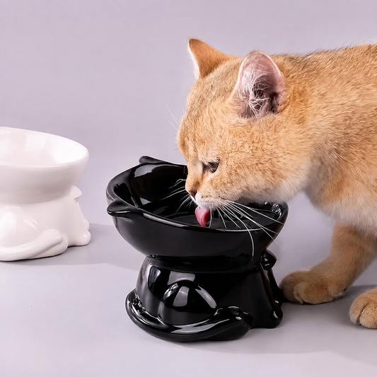 Elevated Cat Bowl – Raised Tilted Feeder
