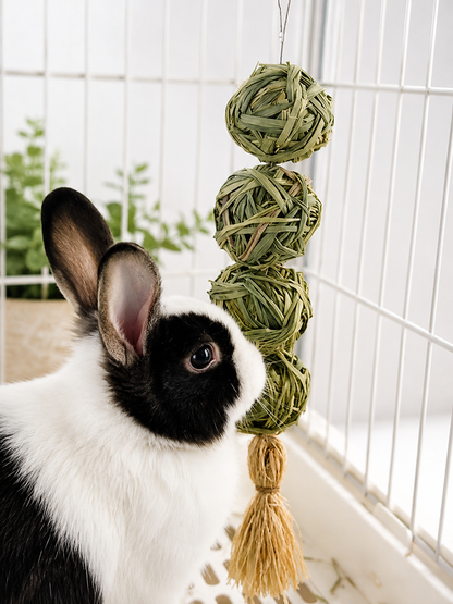 Rabbit Grass Chew Toy