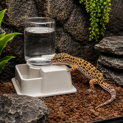 Automatic Reptile Water Dispenser