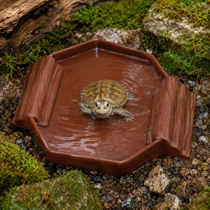 Reptile Bath & Water Pool