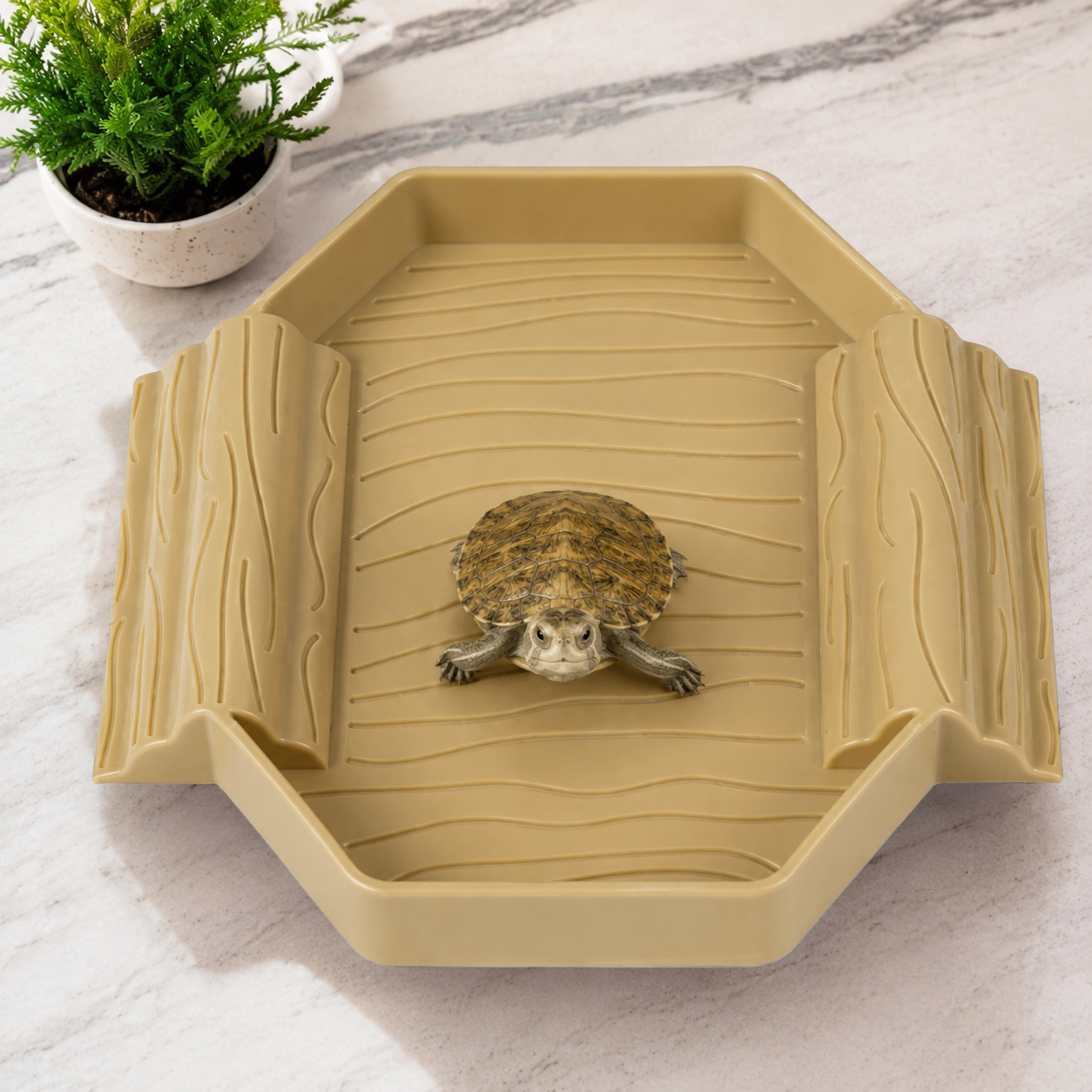 Reptile Bath & Water Pool