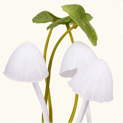 Colorful Mushroom Night Light