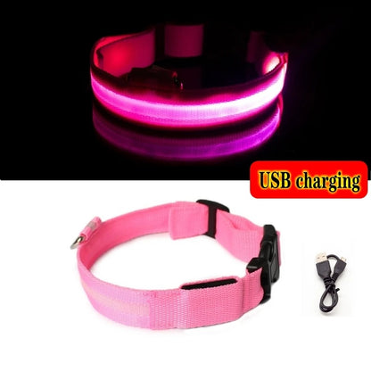 LED Light-Up Dog Collar