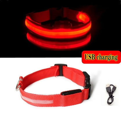 LED Light-Up Dog Collar