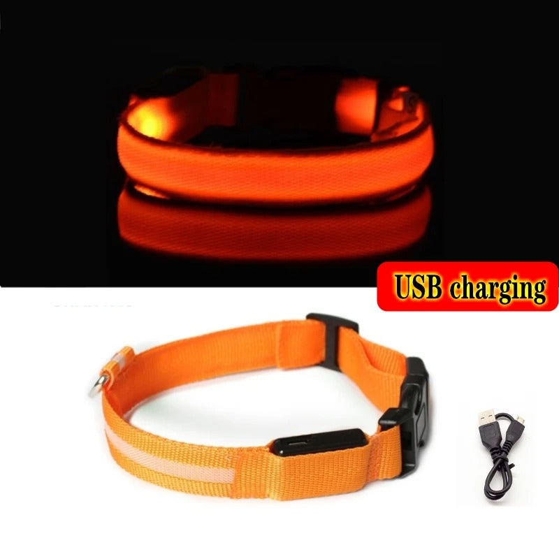 LED Light-Up Dog Collar