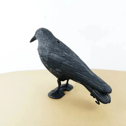 Realistic Crow Bird