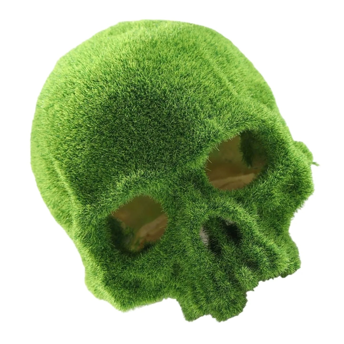 Moss Skull Habitat Hideaway