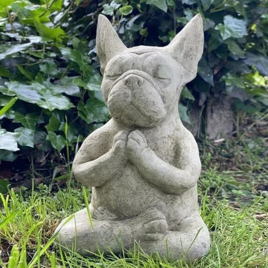 Yoga Pose French Bulldog