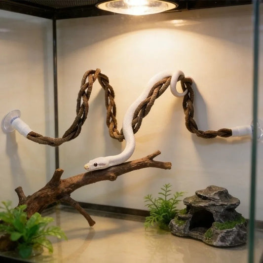 Snake Climbing Vine