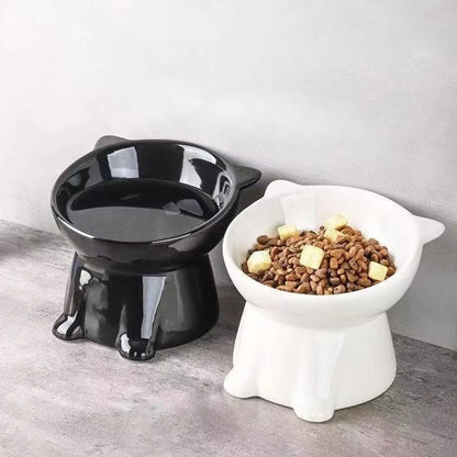 Elevated Cat Bowl – Raised Tilted Feeder