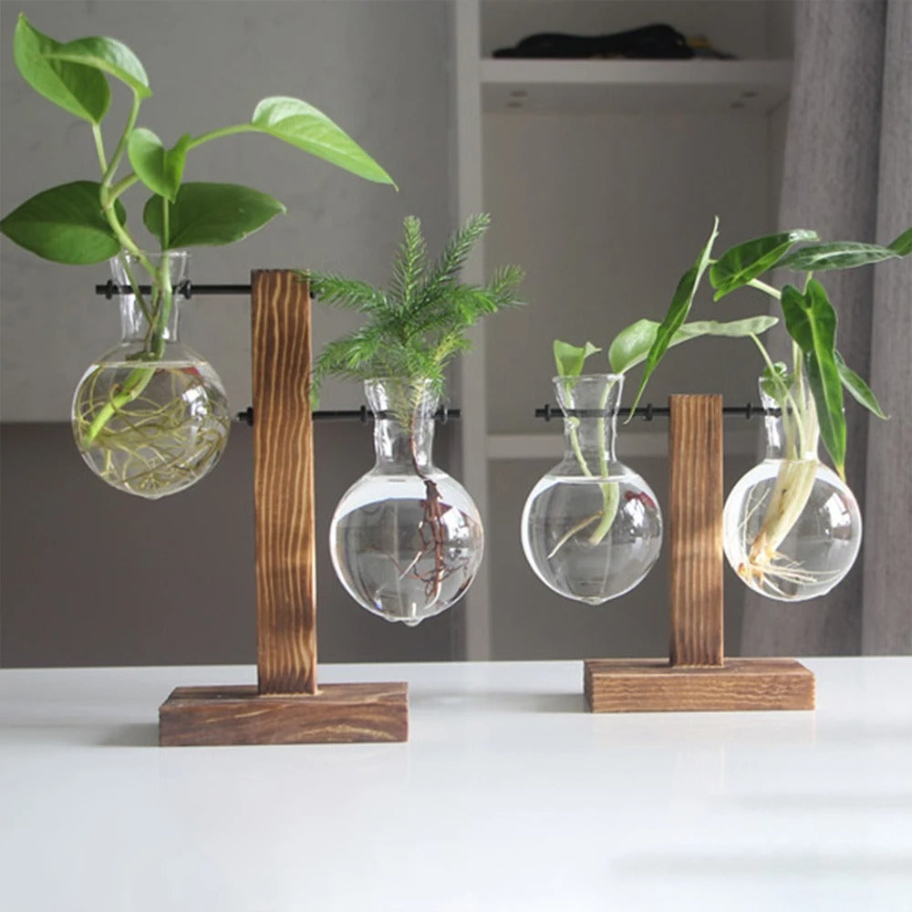 Glass Vase with Wooden Stand - 3 Styles Included