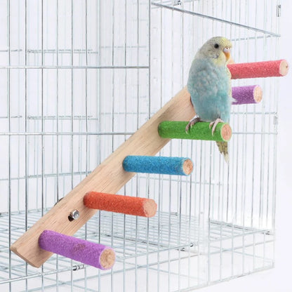 Bird Climbing Ladder