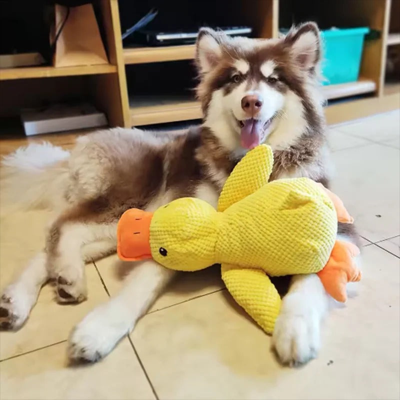 Squeaky Yellow Duck Dog Toy