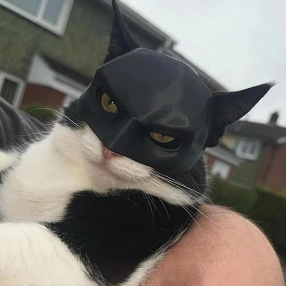 Superhero Cat Mask