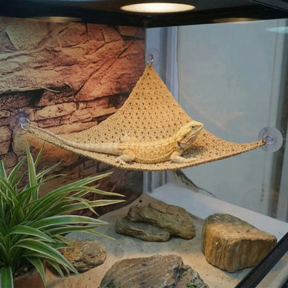 Reptile Climbing Hammock