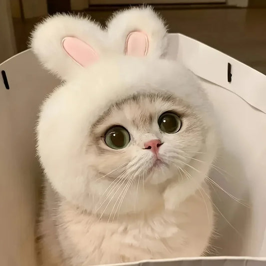 Bunny Ears Pet Hat