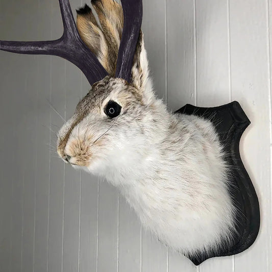 Rabbit with Antlers Wall Sculpture
