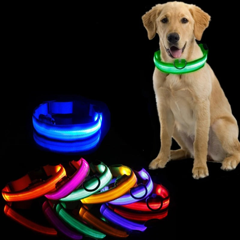 LED Light-Up Dog Collar