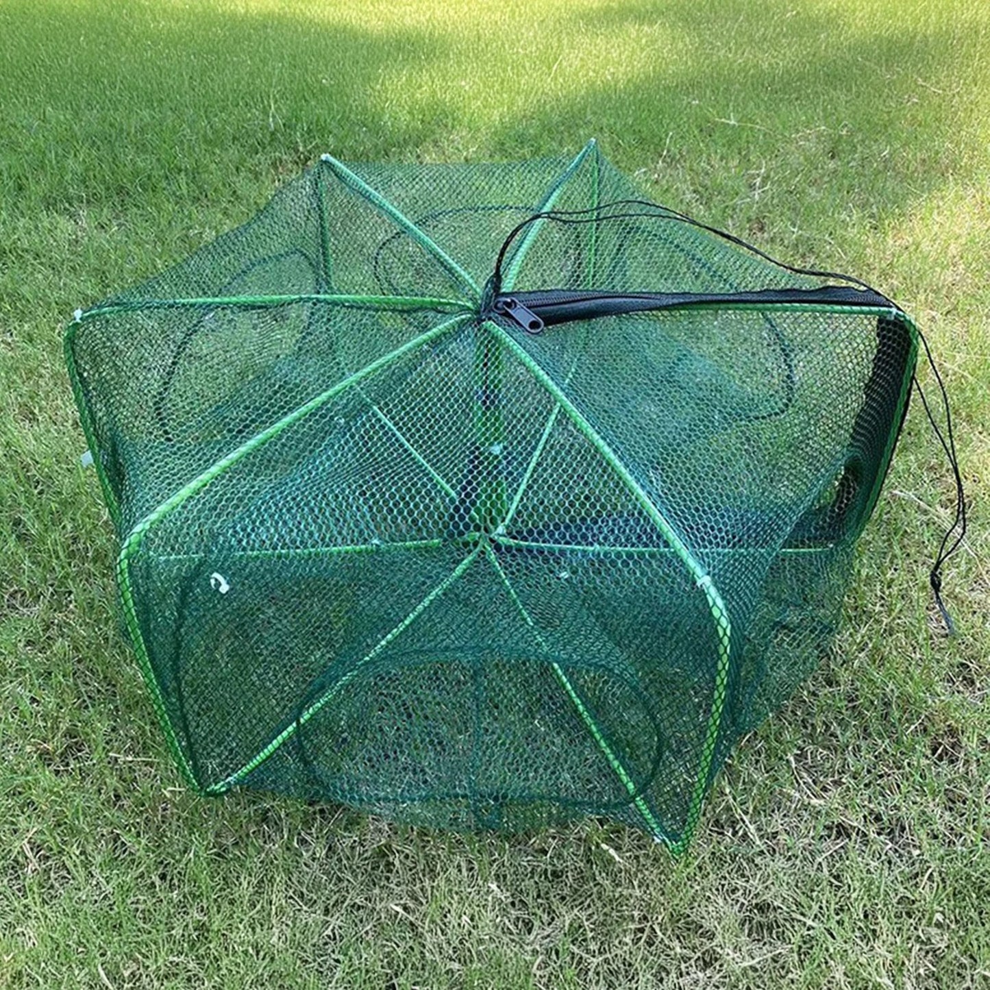 Collapsible Fishing Trap
