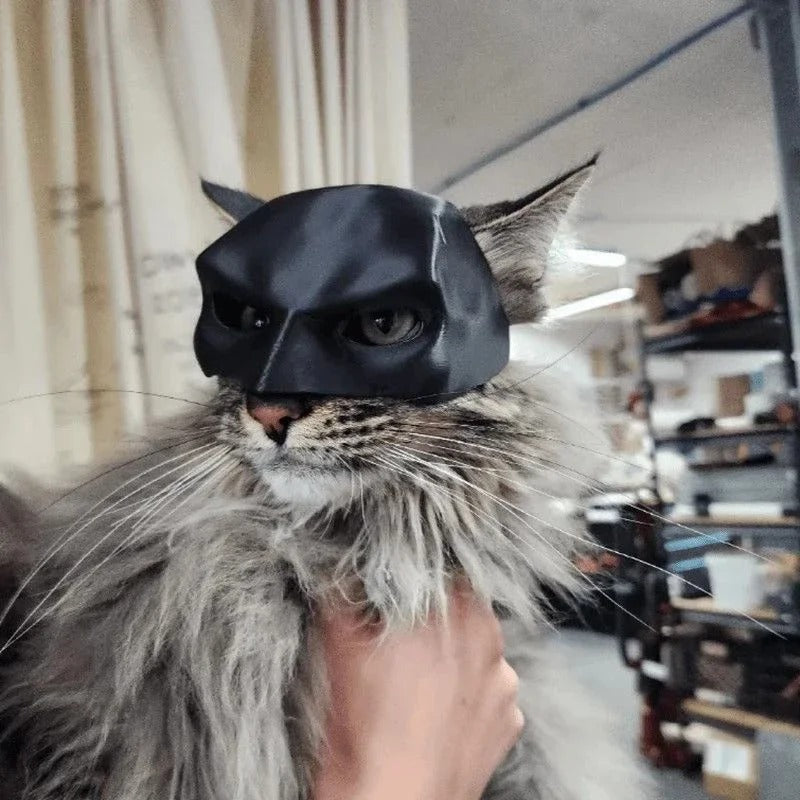 Superhero Cat Mask