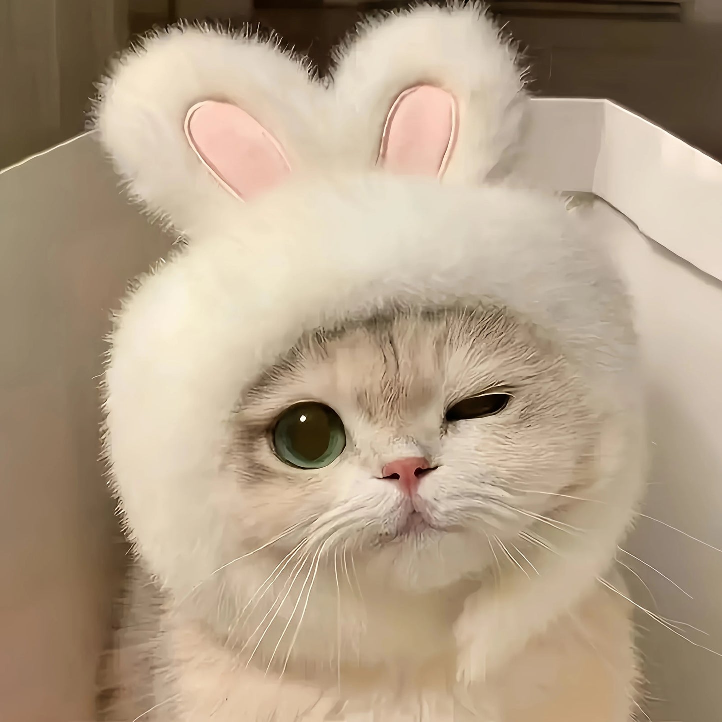 Bunny Ears Pet Hat