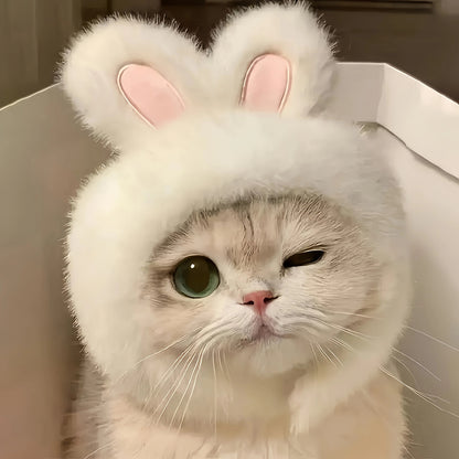 Bunny Ears Pet Hat