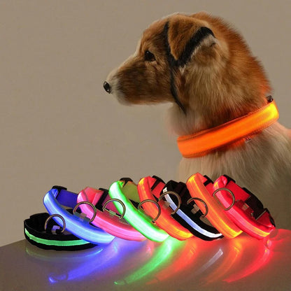 LED Light-Up Dog Collar