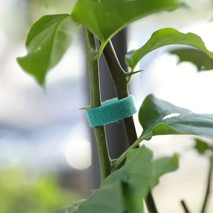 Self-Adhesive Garden Plant Ties - 3 Rolls