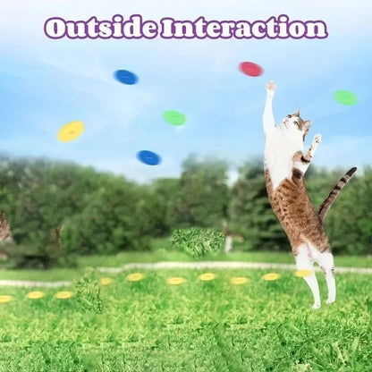 Pet Flying Disc Launcher Toy