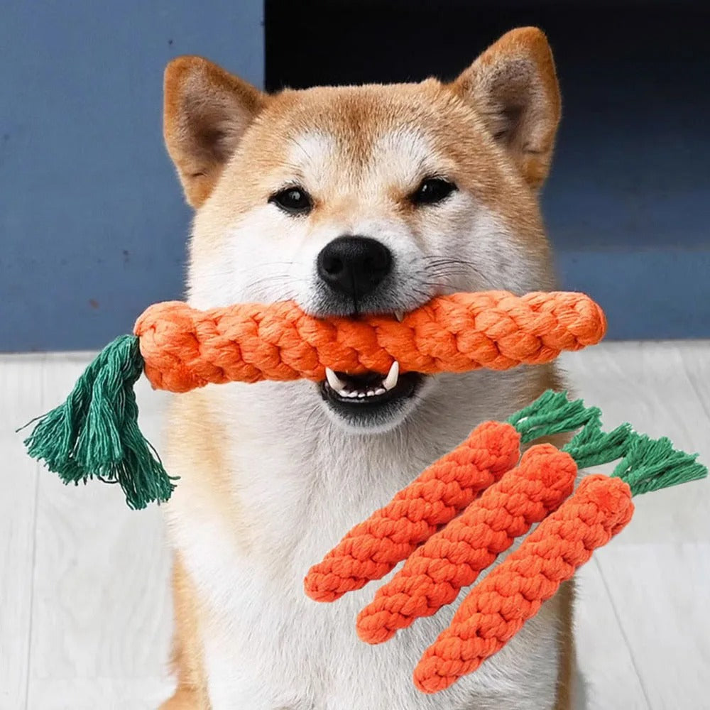 3pcs Carrot Rope Toy for Dogs – Durable Cotton Chew & Tug Toy