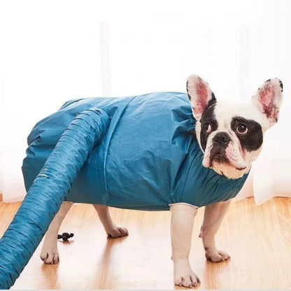Dog Drying Bag