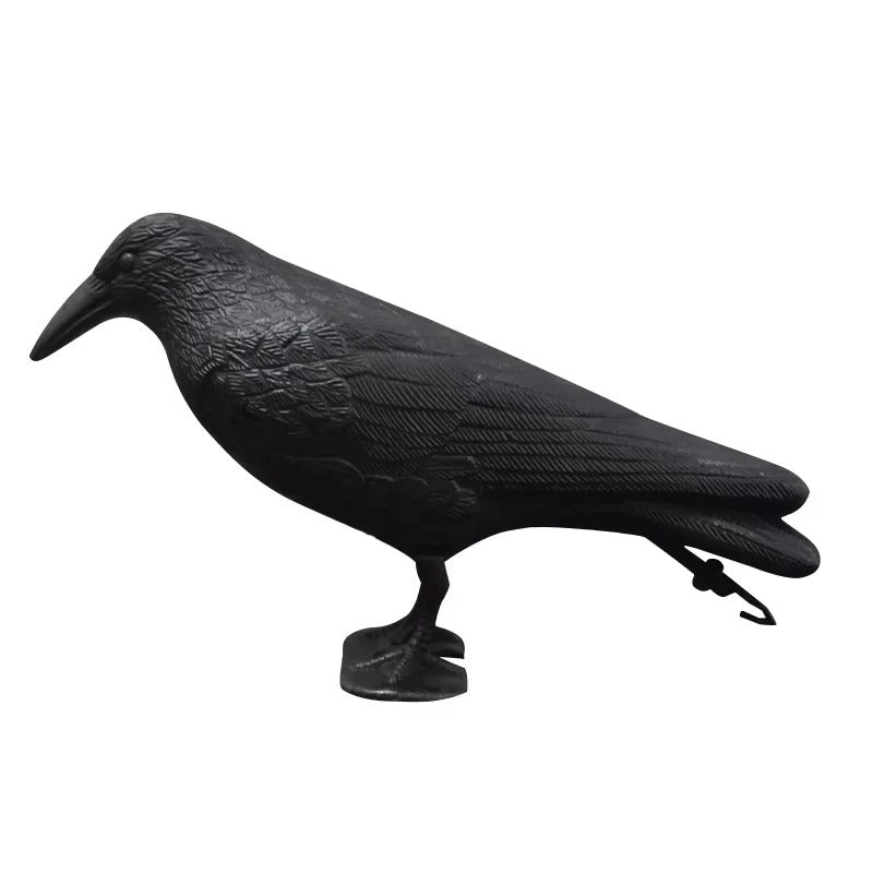 Realistic Crow Bird