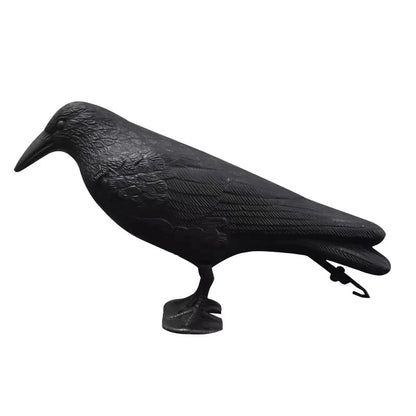 Realistic Crow Bird