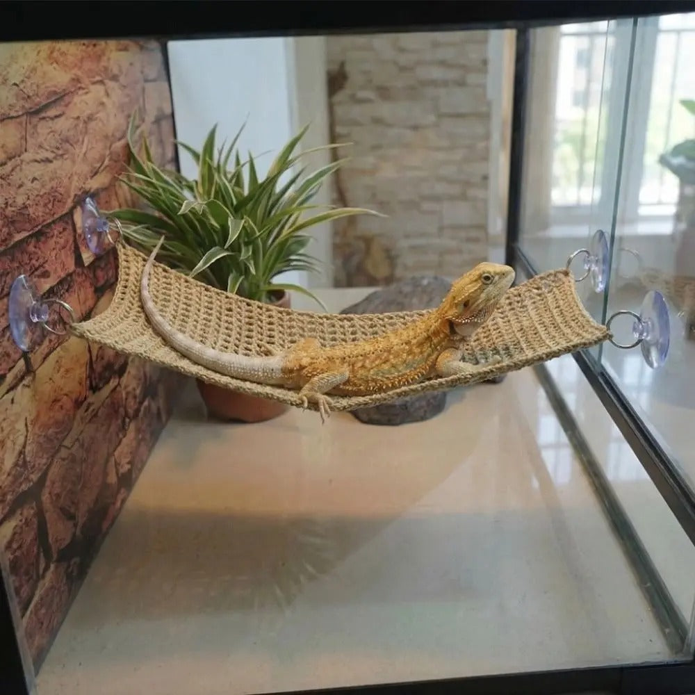 Reptile Climbing Hammock