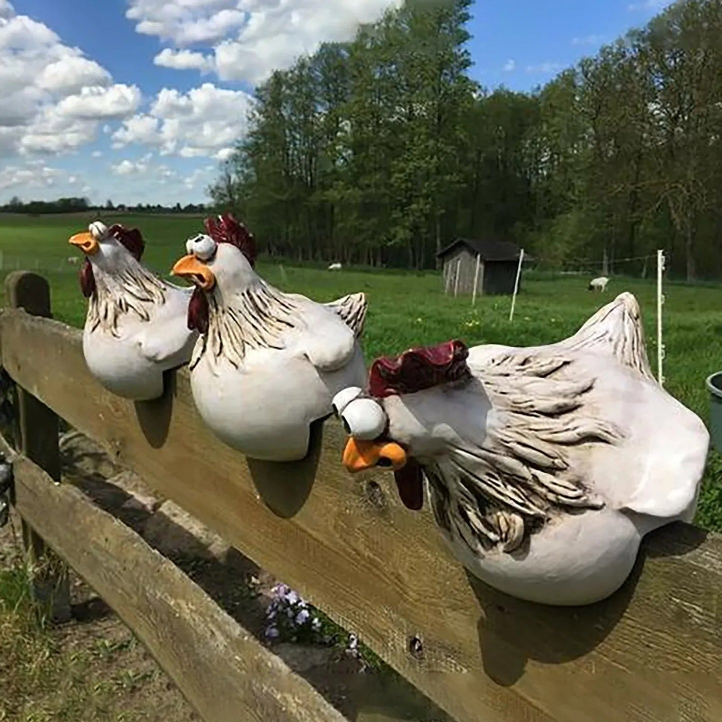 Funny Chicken Fence Decor