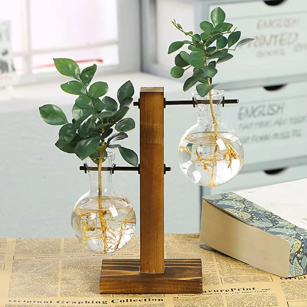 Glass Vase with Wooden Stand - 3 Styles Included