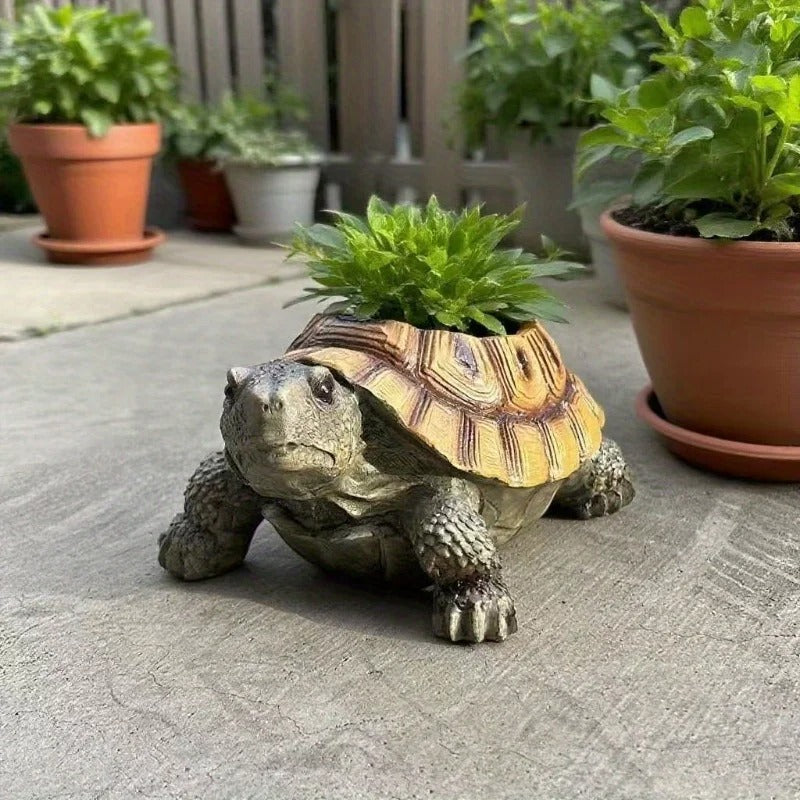 Turtle Shell Planter Pot