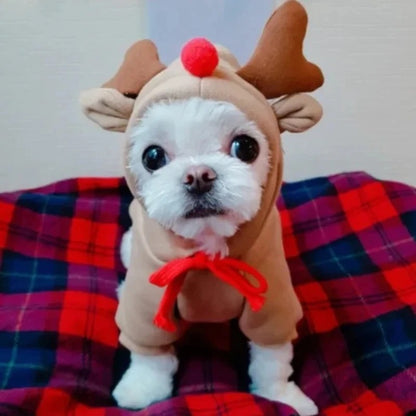 Reindeer Dog Costume