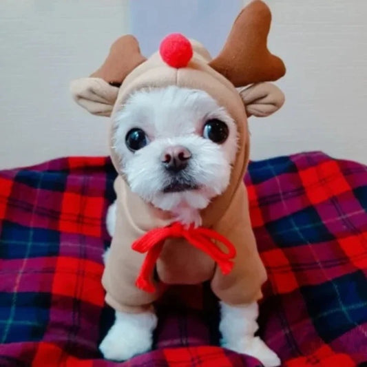 Reindeer Dog Costume