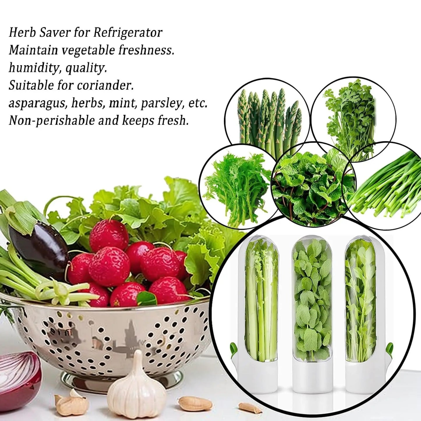Herb Saver Storage Container – Fresh Herb Keeper for Refrigerator