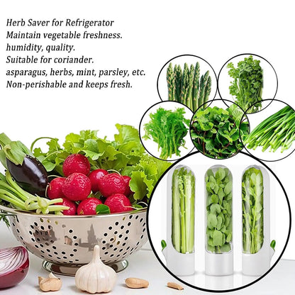 Herb Saver Storage Container – Fresh Herb Keeper for Refrigerator