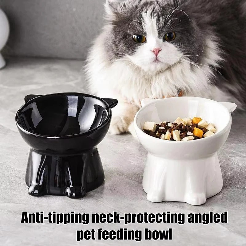 Elevated Cat Bowl – Raised Tilted Feeder