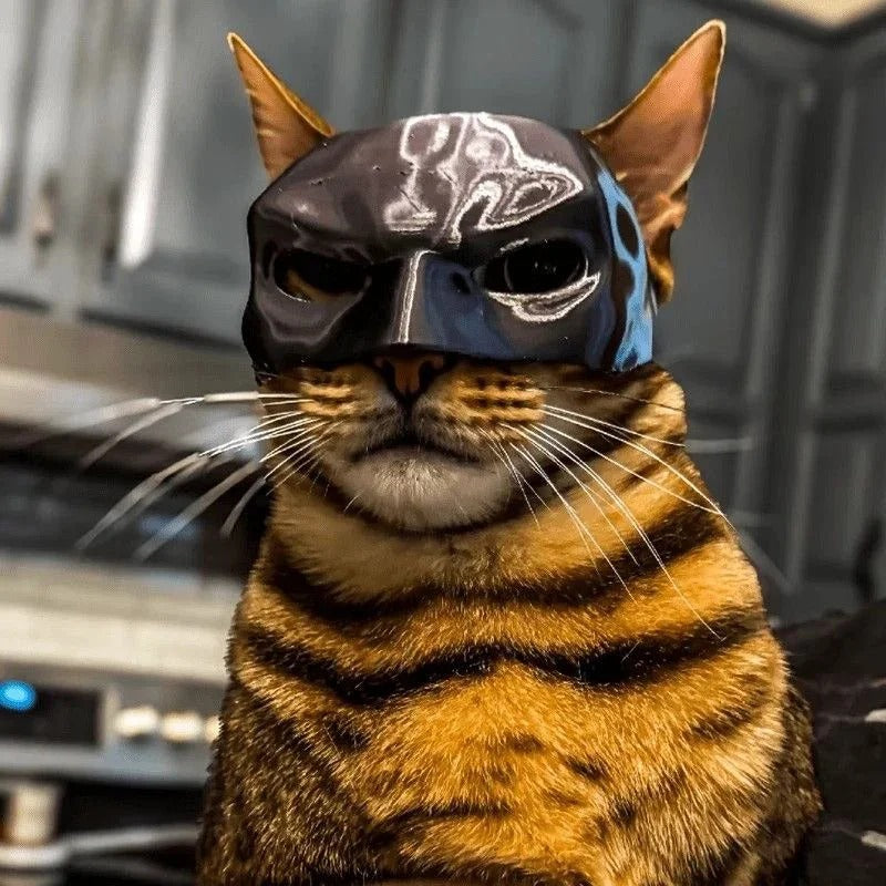 Superhero Cat Mask